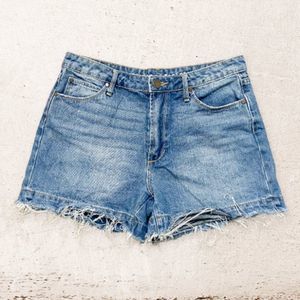 Articles of Society Marco Denim Shorts